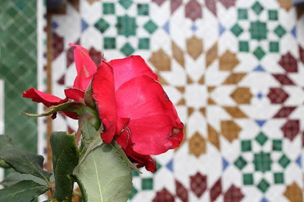 Malabata Guest House Tanca Dış mekan fotoğraf